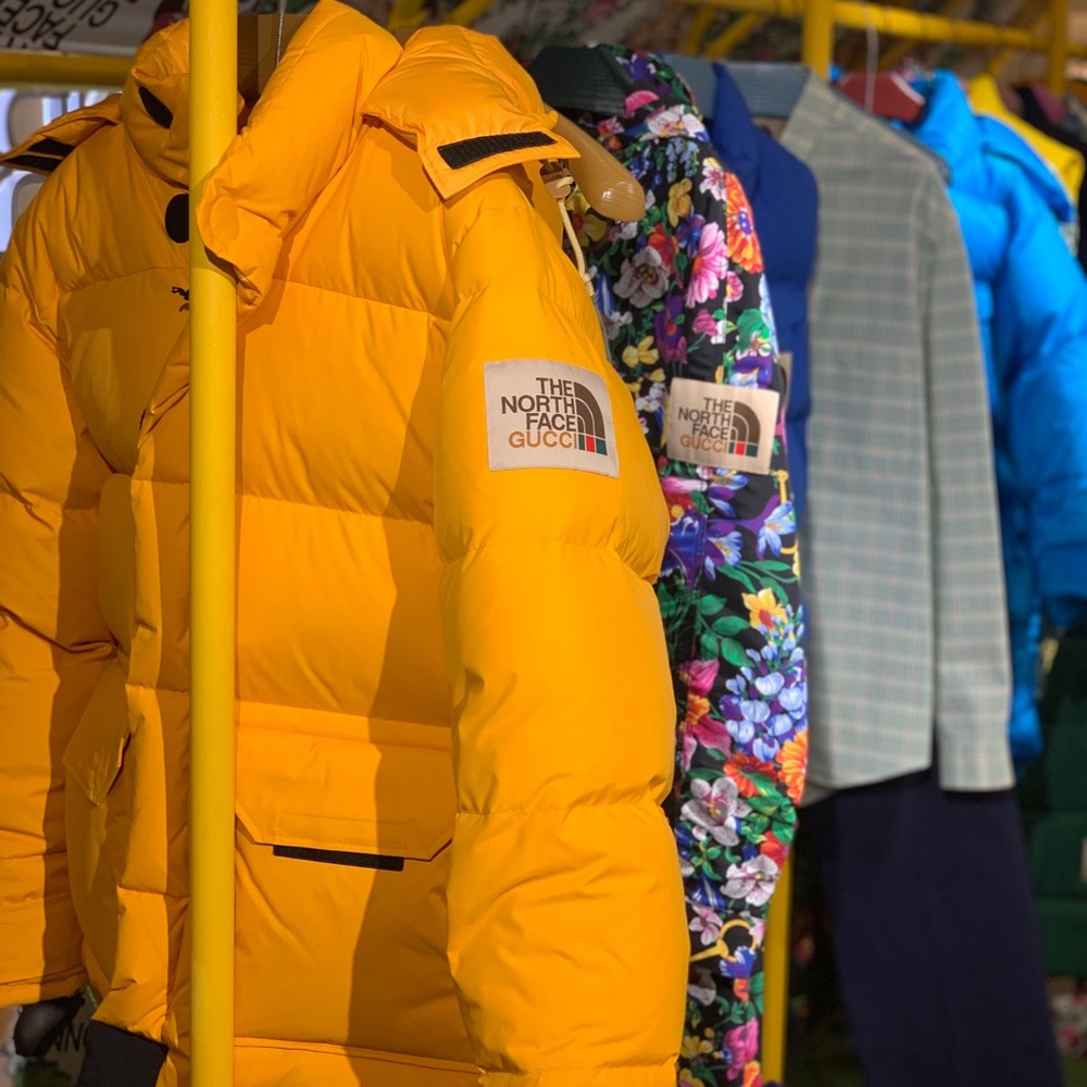 Gucci x North Face Winter Jacket SMALL